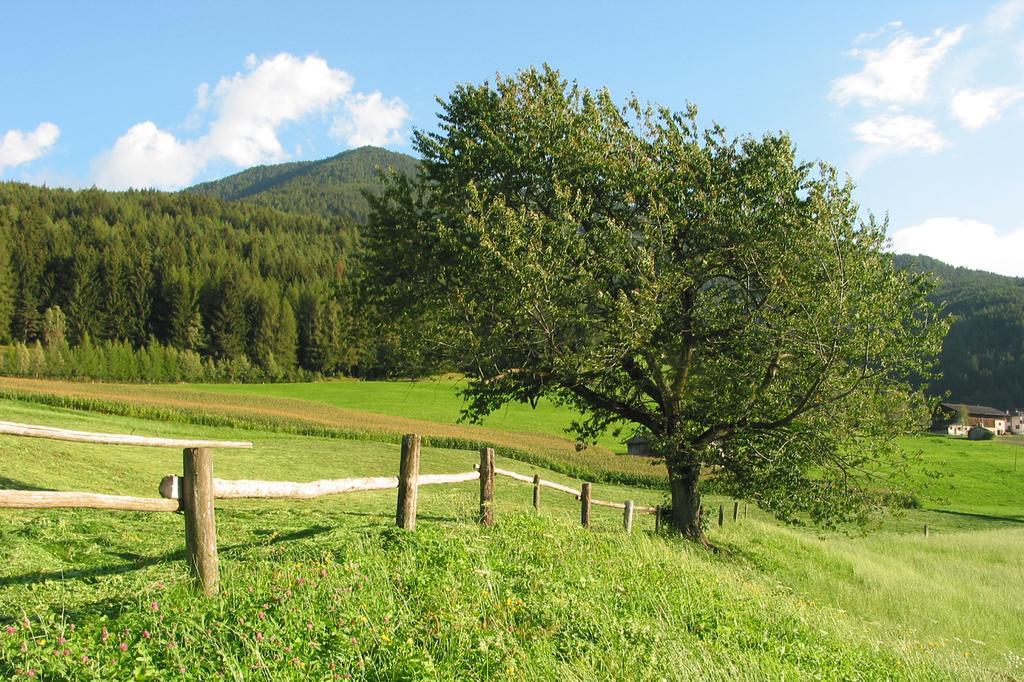 Spisserhof Chiusa Bagian luar foto